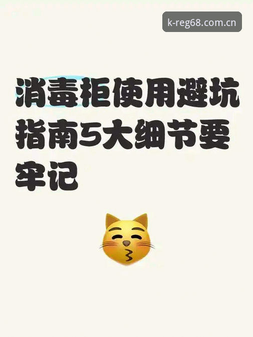 K体育官网入口手机版安全评测实用指南：五大必知细节助你避开陷阱